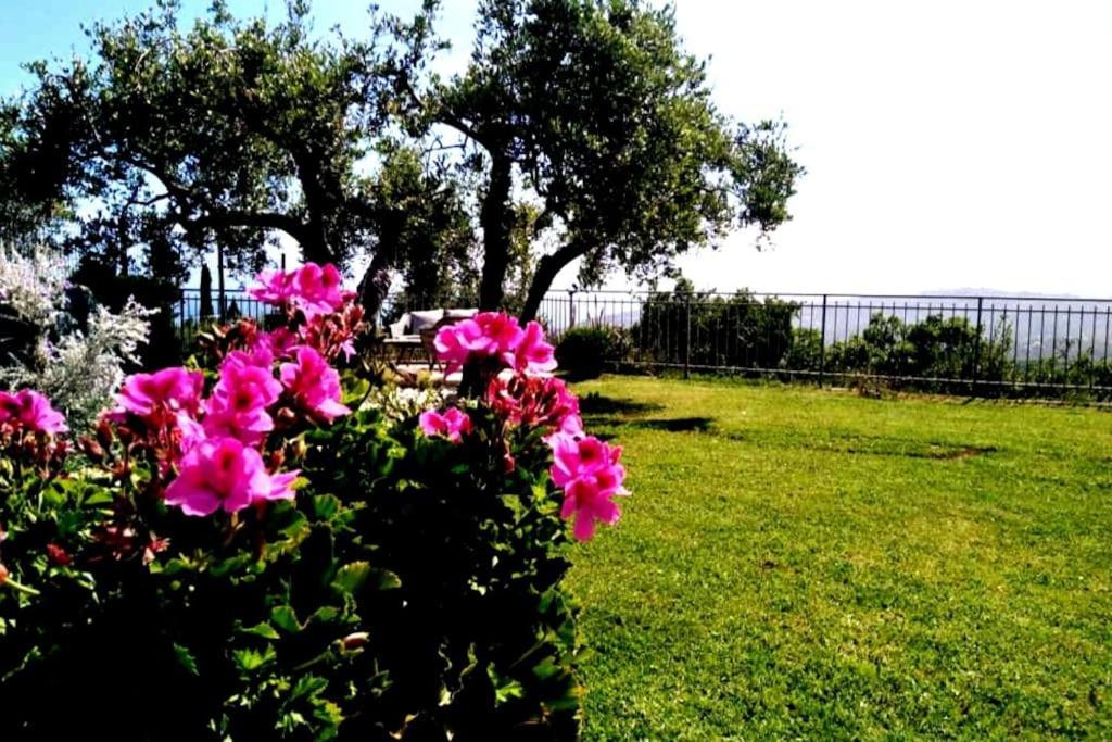 Villa Casa Vista Mare - Superb Garden And Parking Included Imperia Exterior foto