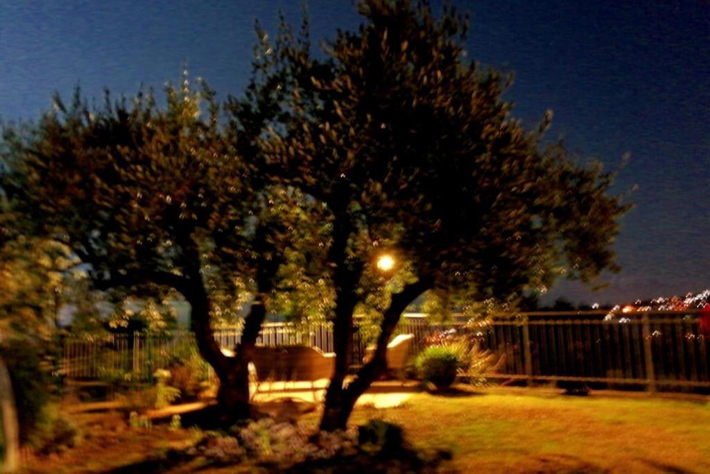 Villa Casa Vista Mare - Superb Garden And Parking Included Imperia Exterior foto